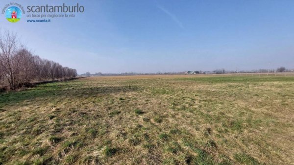 terreno agricolo in vendita a Miane