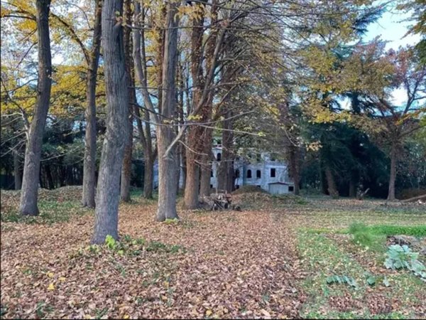casa indipendente in vendita a Mogliano Veneto