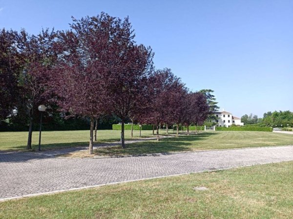 casa indipendente in vendita a Mogliano Veneto