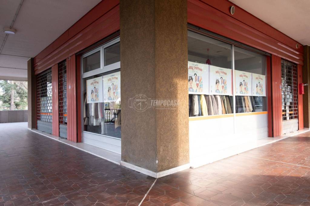 trivano in vendita a Mogliano Veneto