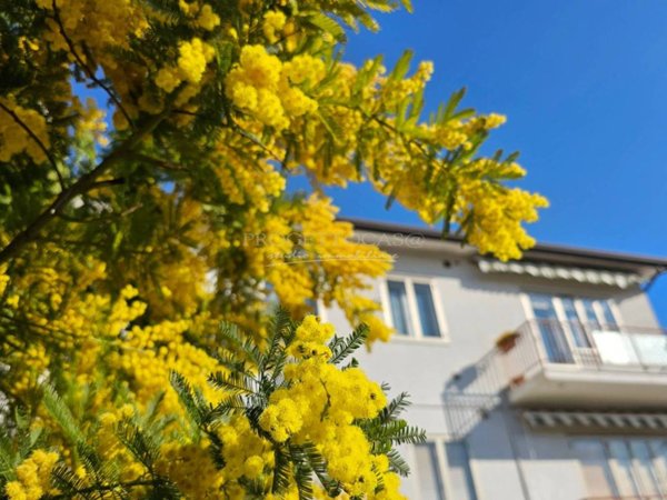 appartamento in vendita a Mogliano Veneto
