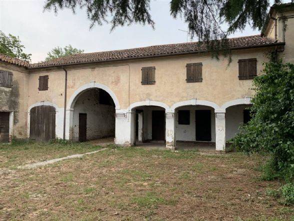 azienda agricola in vendita a Mogliano Veneto