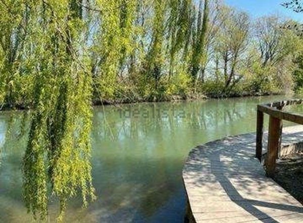 casa indipendente in vendita a Mogliano Veneto in zona Bonisiolo