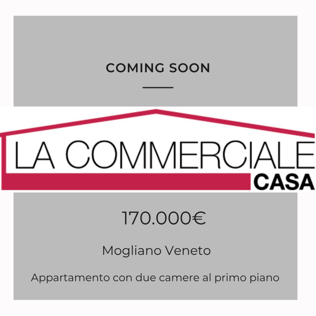 appartamento in vendita a Mogliano Veneto