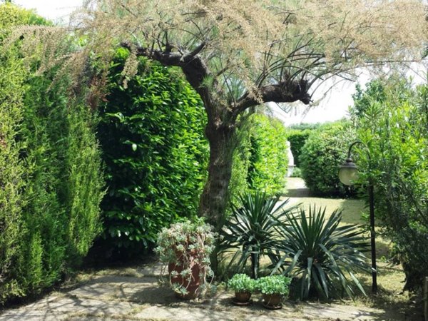 casa indipendente in vendita a Mogliano Veneto