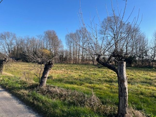 casa indipendente in vendita a Mogliano Veneto in zona Zerman