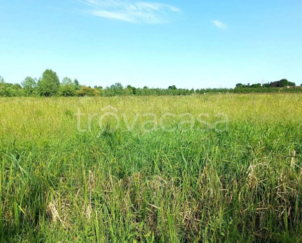 terreno agricolo in vendita a Mogliano Veneto in zona Campocroce