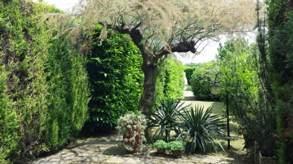 casa indipendente in vendita a Mogliano Veneto