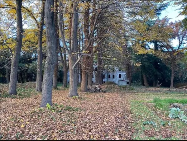 casale in vendita a Mogliano Veneto