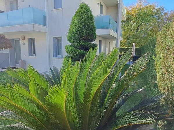 appartamento in vendita a Mogliano Veneto