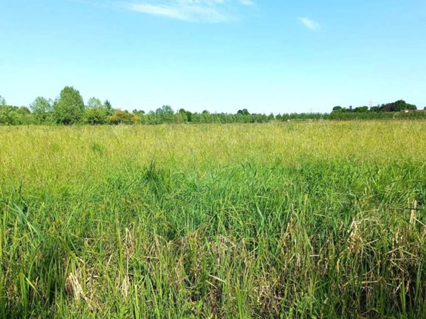 terreno edificabile in vendita a Mogliano Veneto in zona Campocroce