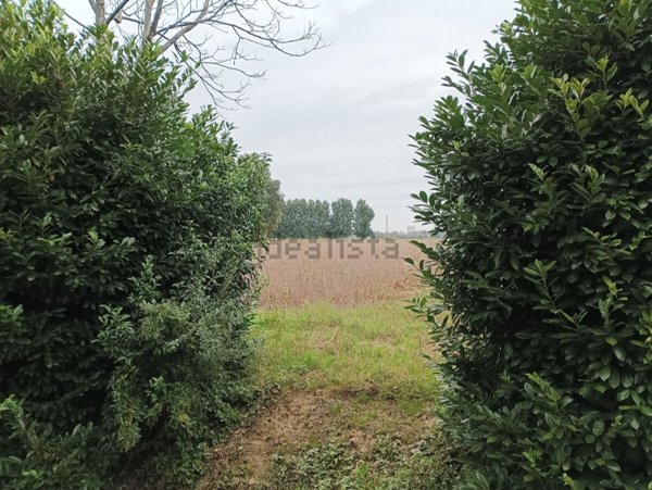 terreno edificabile in vendita a Mogliano Veneto