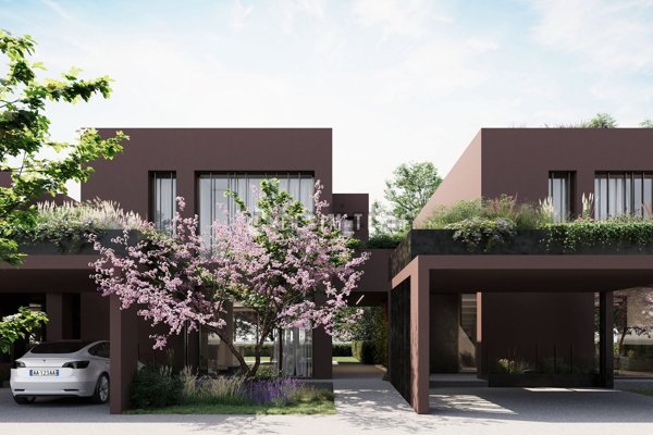 pentavano in vendita a Mogliano Veneto