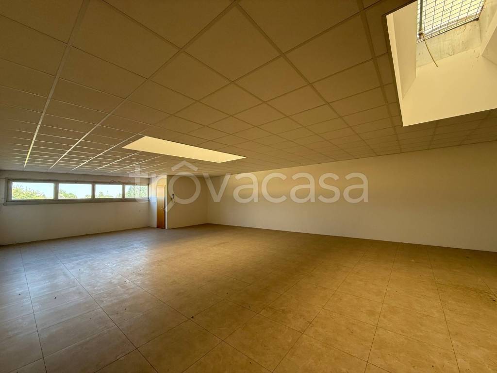 appartamento in vendita a Mogliano Veneto