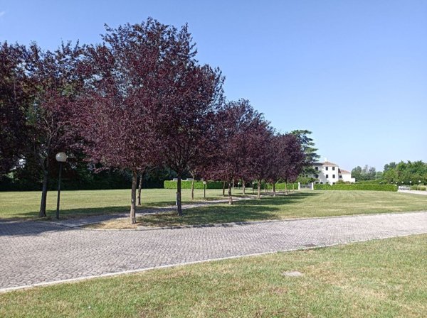 casa indipendente in vendita a Mogliano Veneto