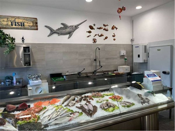 negozio in vendita a Mogliano Veneto