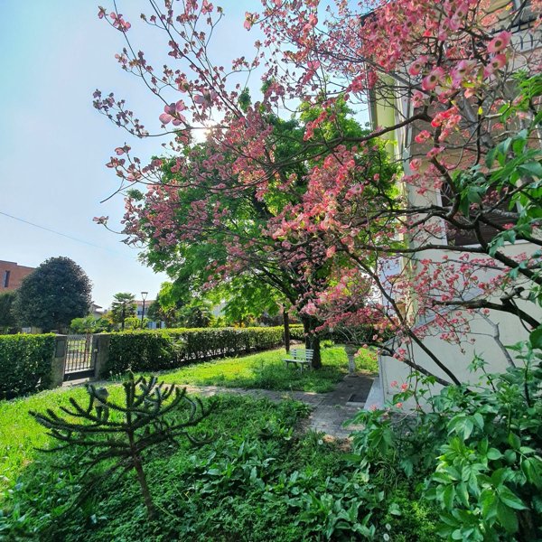 casa indipendente in vendita a Mogliano Veneto