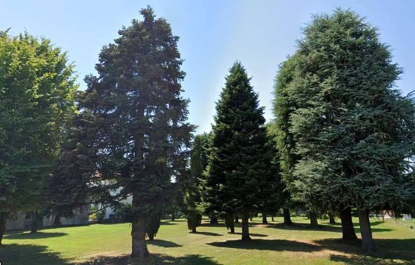 casa indipendente in vendita a Mogliano Veneto