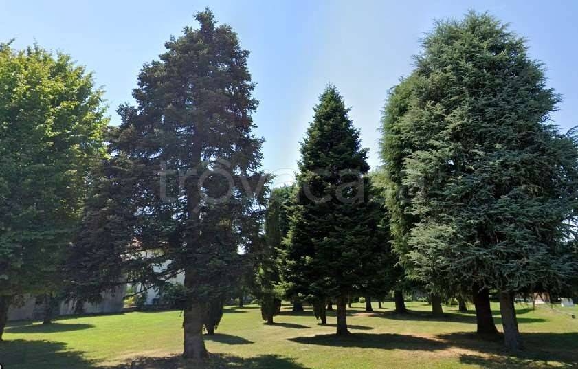 casa indipendente in vendita a Mogliano Veneto