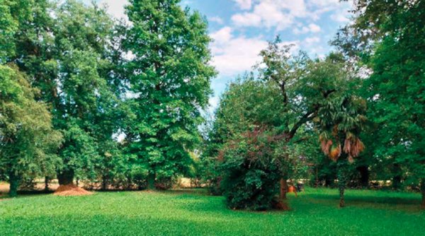 casa indipendente in vendita a Mogliano Veneto