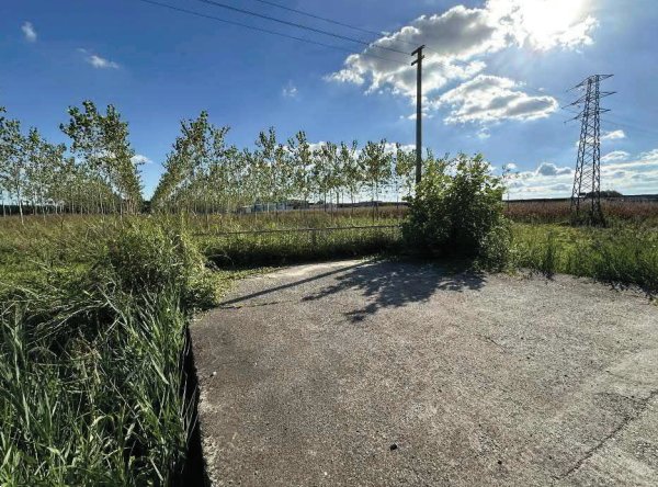terreno agricolo in vendita a Mogliano Veneto