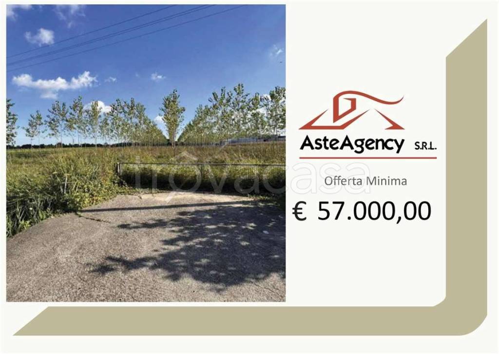 terreno agricolo in vendita a Mogliano Veneto