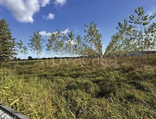 appartamento in vendita a Mogliano Veneto