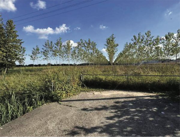 terreno agricolo in vendita a Mogliano Veneto