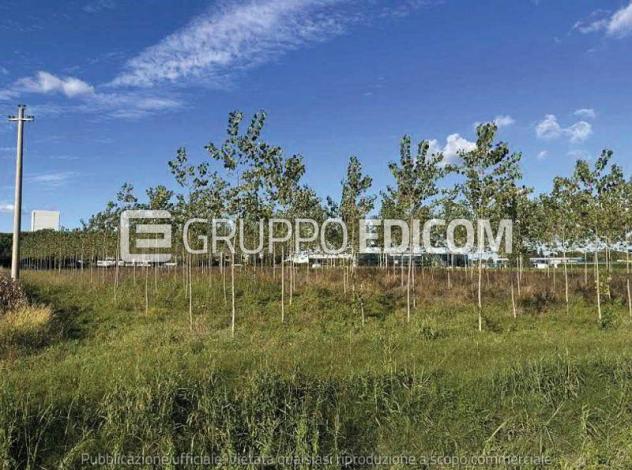 terreno agricolo in vendita a Mogliano Veneto