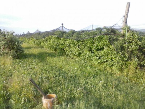 locale di sgombero in vendita a Mogliano Veneto in zona Zerman