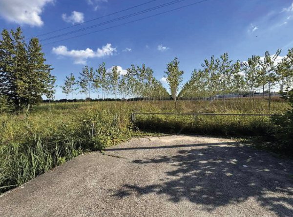terreno agricolo in vendita a Mogliano Veneto