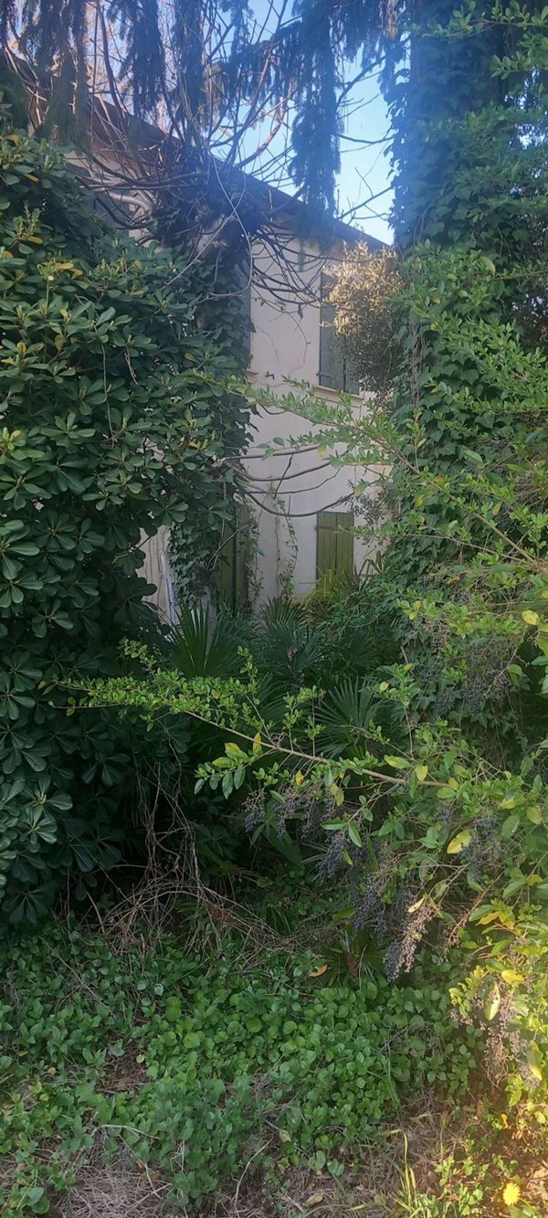 casa indipendente in vendita a Mogliano Veneto