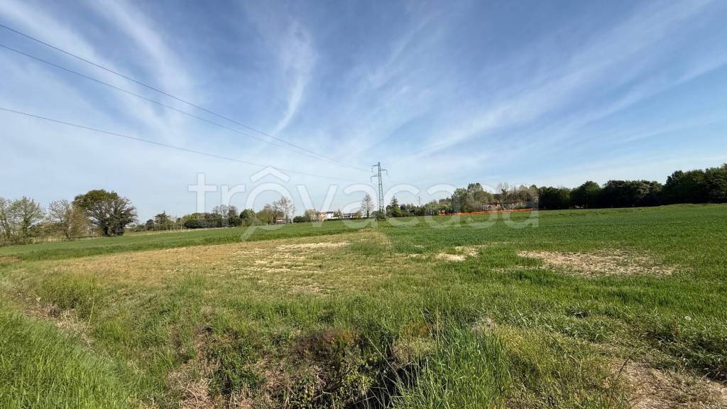 terreno agricolo in vendita a Mogliano Veneto