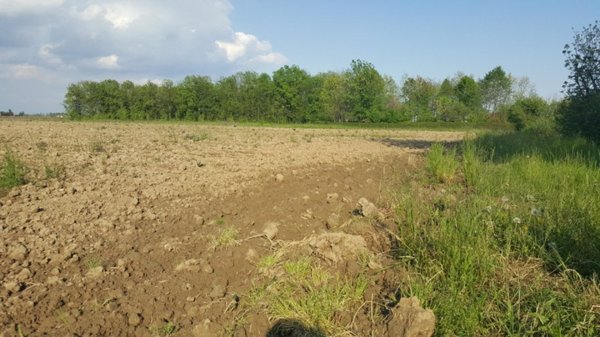 casa indipendente in vendita a Mogliano Veneto in zona Zerman