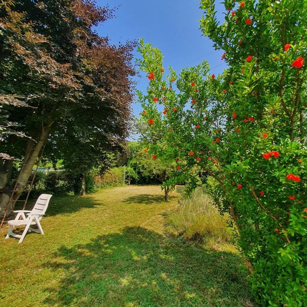 casa indipendente in vendita a Mogliano Veneto