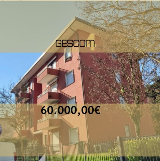 appartamento in vendita a Mogliano Veneto