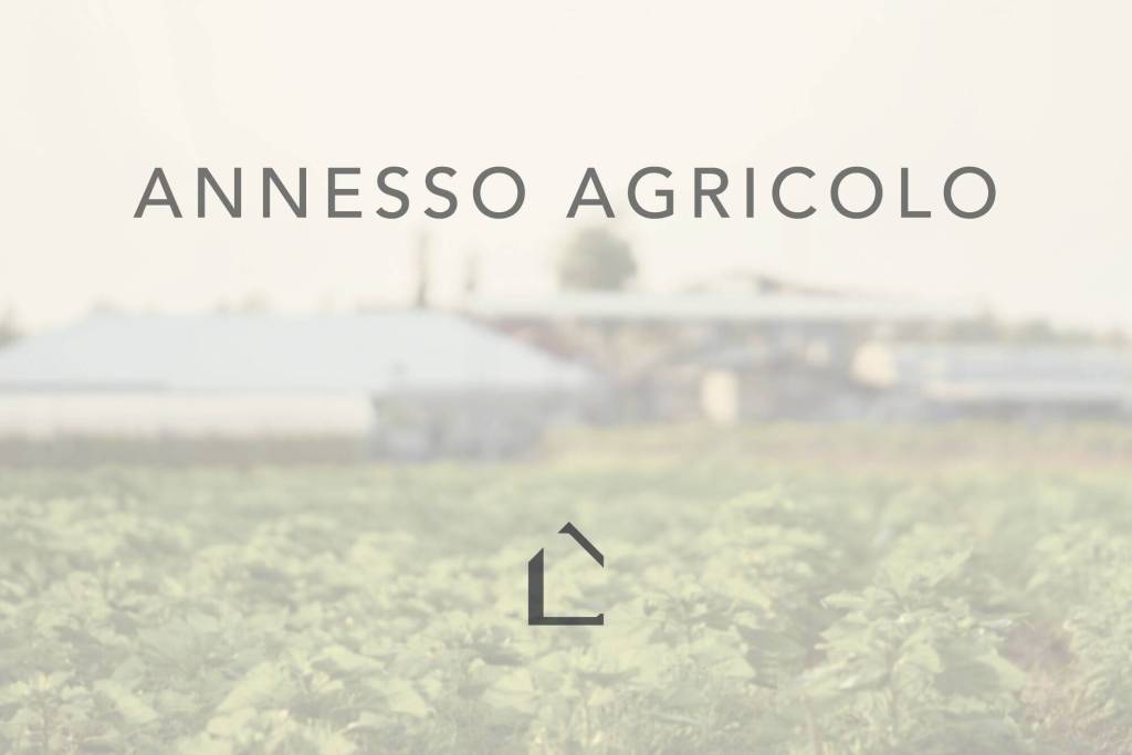 terreno agricolo in vendita a Mogliano Veneto