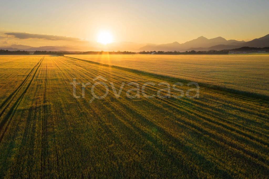 terreno in vendita a Mogliano Veneto
