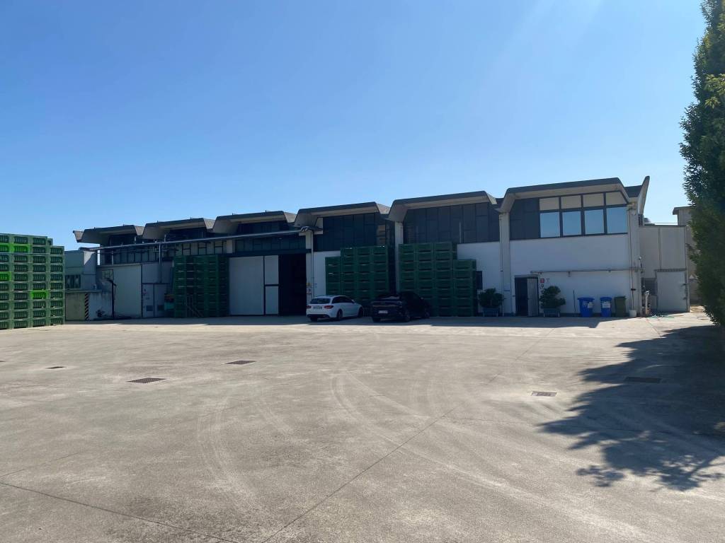 locale commerciale in vendita a Mogliano Veneto