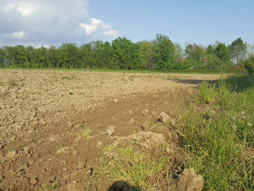 mansarda in vendita a Mogliano Veneto in zona Zerman