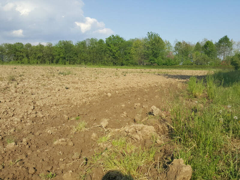 ufficio in vendita a Mogliano Veneto