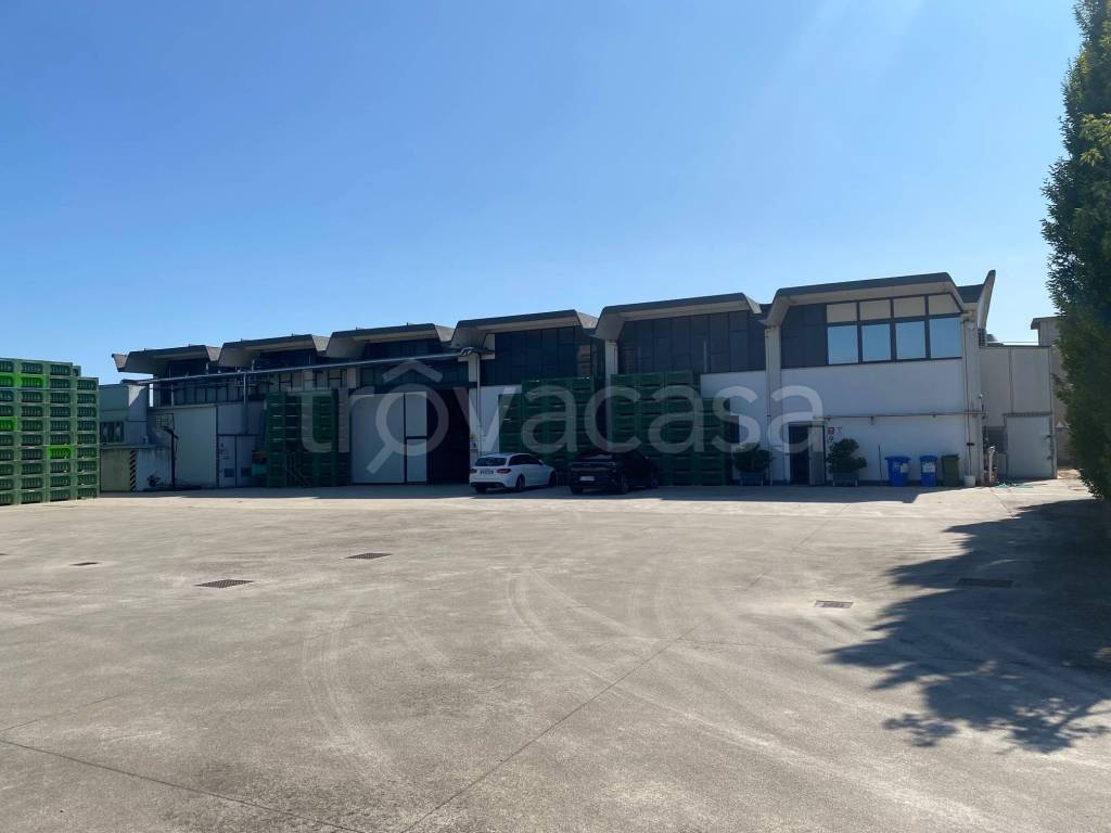 appartamento in vendita a Mogliano Veneto