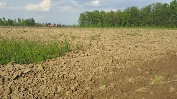 terreno in vendita a Mogliano Veneto in zona Zerman