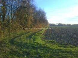 terreno in vendita a Mogliano Veneto