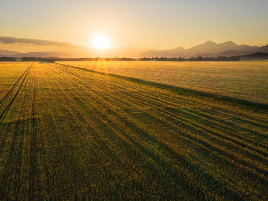 terreno in vendita a Mogliano Veneto in zona Mazzocco