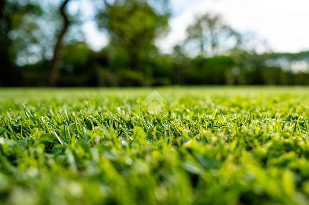 terreno agricolo in vendita a Monastier di Treviso
