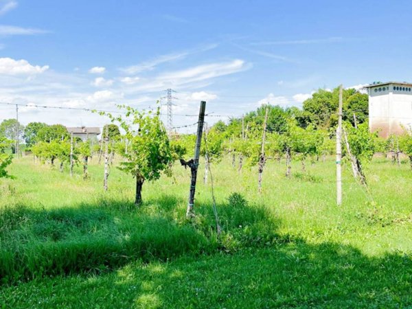 terreno agricolo in vendita a Monastier di Treviso in zona Fornaci