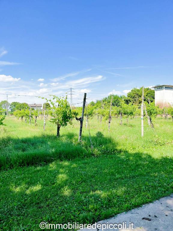 terreno agricolo in vendita a Monastier di Treviso in zona Fornaci