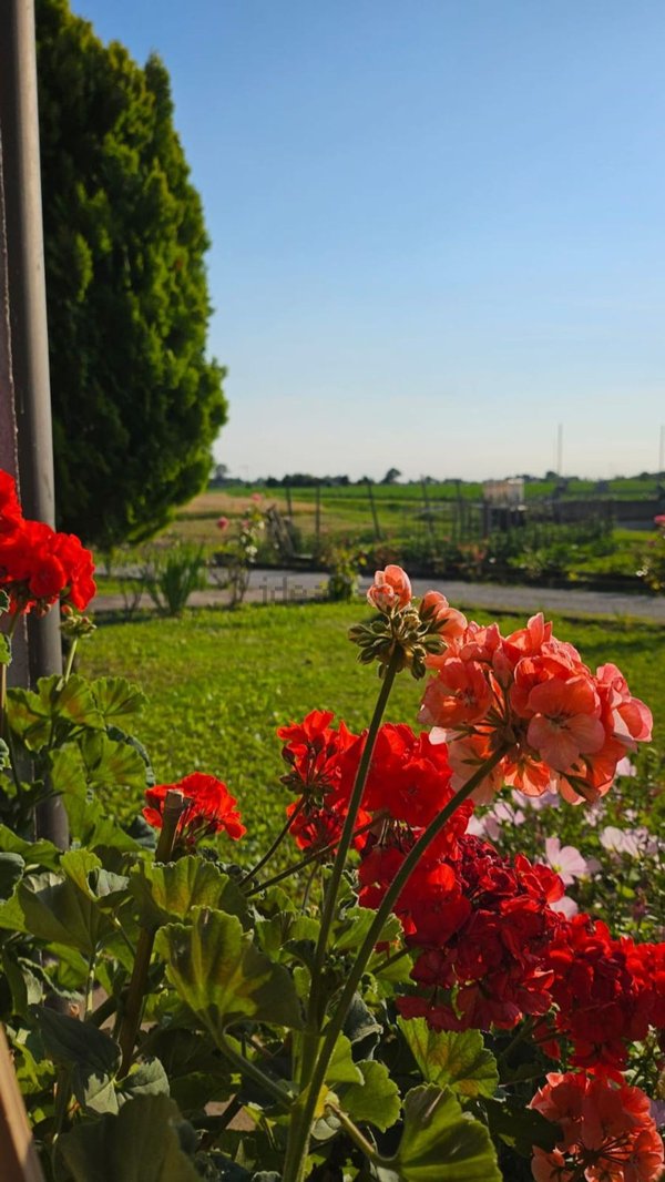 casa indipendente in vendita a Monastier di Treviso