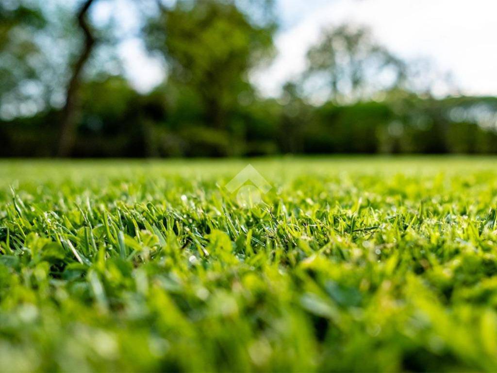 terreno agricolo in vendita a Monastier di Treviso
